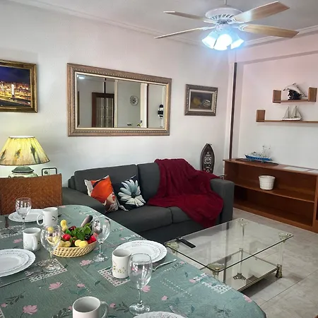 Homely Habaneras 公寓 托雷维耶哈