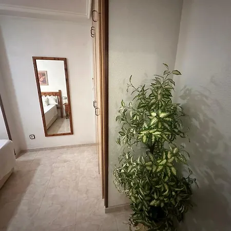 Appartement Homely Habaneras