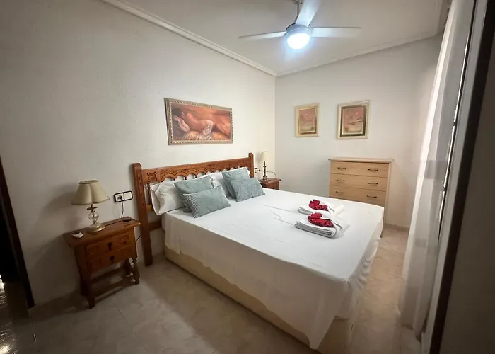 Homely Habaneras 公寓 托雷维耶哈