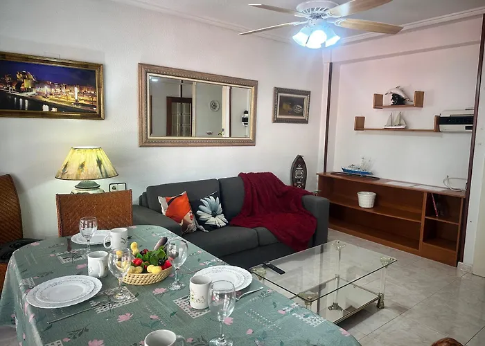 Homely Habaneras 公寓 托雷维耶哈